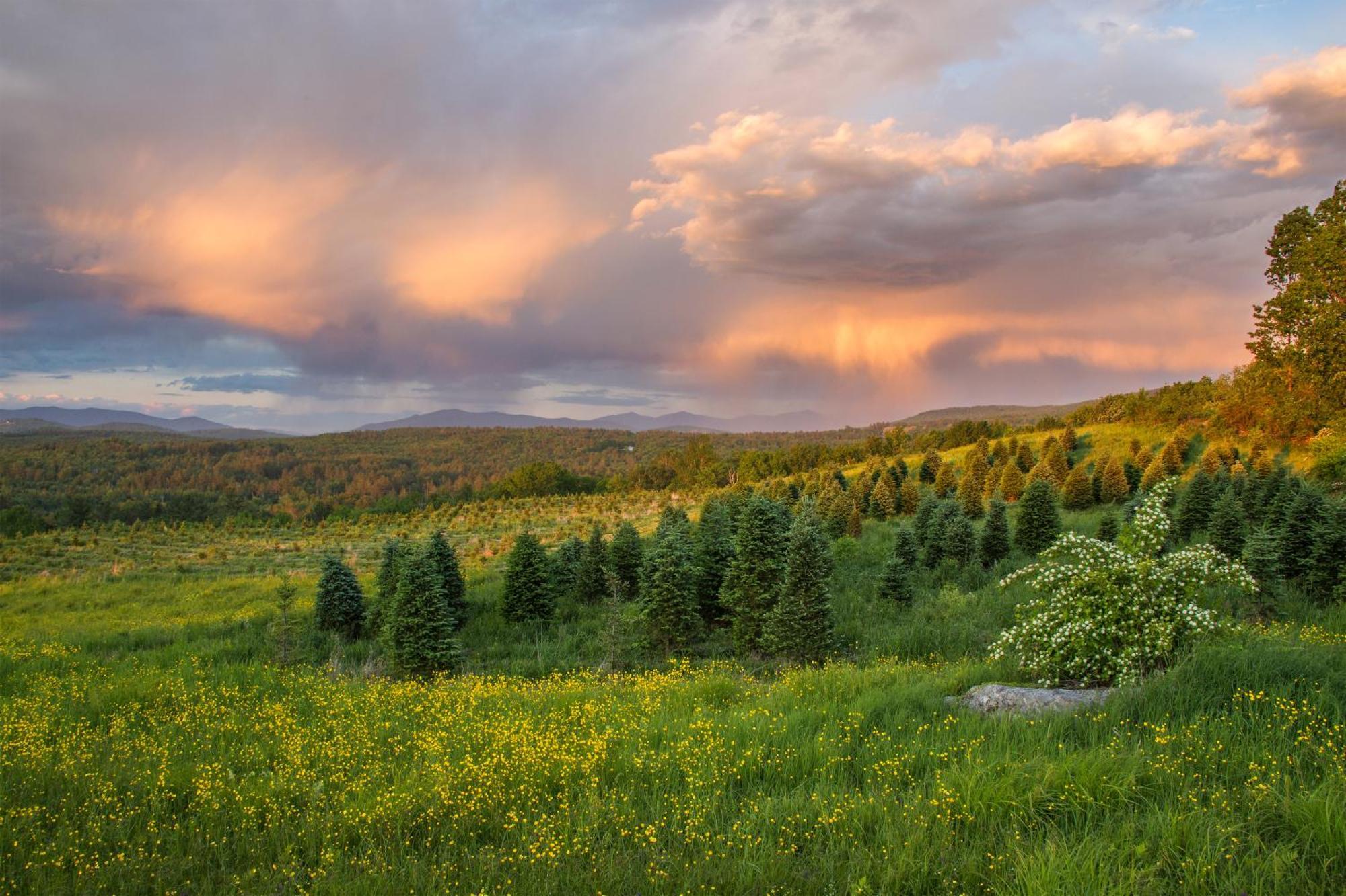 Experience The Rocks Estate Like Never Before With A Stay At The Gardeners Cottage! Bethlehem Exterior photo