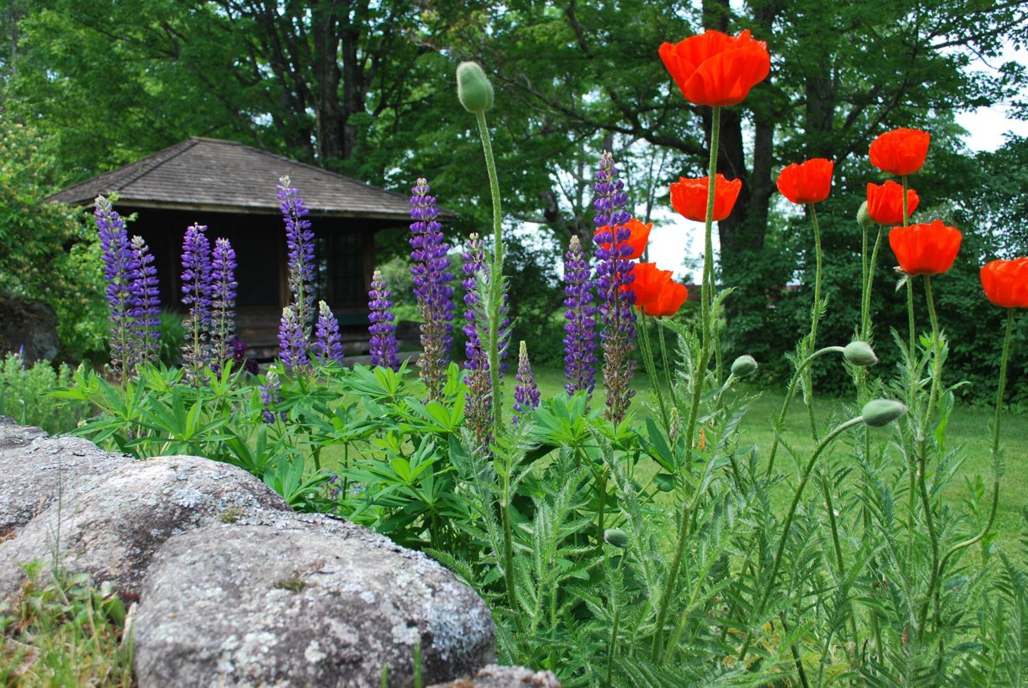 Experience The Rocks Estate Like Never Before With A Stay At The Gardeners Cottage! Bethlehem Exterior photo