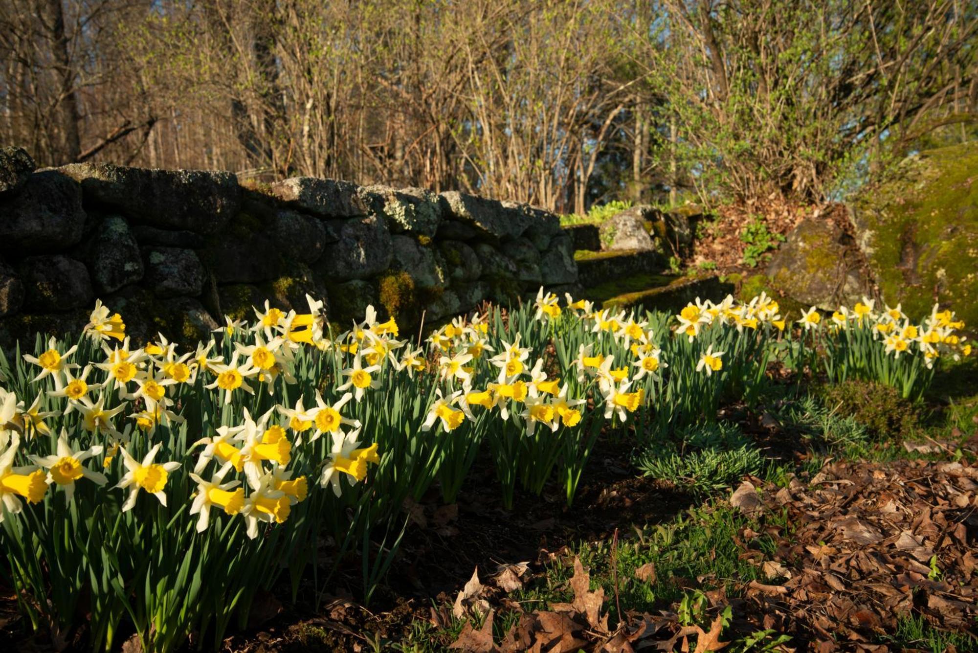 Experience The Rocks Estate Like Never Before With A Stay At The Gardeners Cottage! Bethlehem Exterior photo
